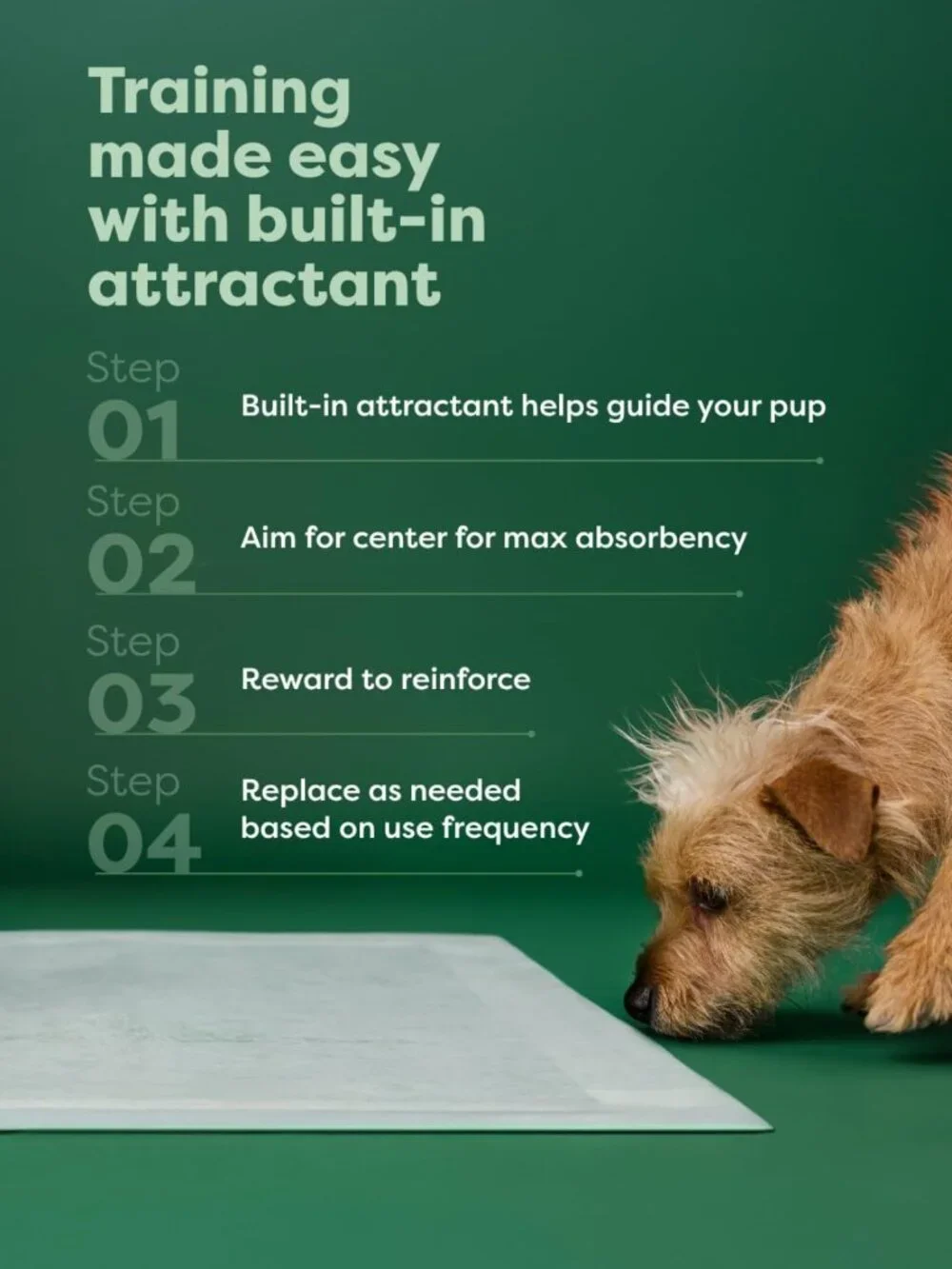 Max Absorbency 3XL Dog & Puppy Pee Pads, Clear View Top, 24 Count - Leakproof